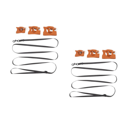2Sets Brown Adjustable Reptile Harness Leash Set Portable Outdoor Use