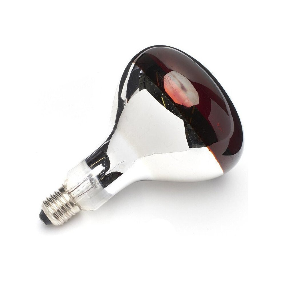 (Ruby) Buffalo 250W Shatterproof Infrared Heat Lamp Es 5061032251407