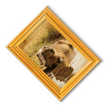 Artistic Fridge Magnets Capybara Cats Small Art Print-MZCT613