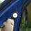 Plastic Vehicle Interior Panel Clips 7703077469 Secure Door Trim 7
