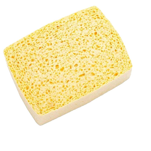 Lincoln Sponge