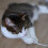 Flame Retardant Pet Wire Protector SelfWrapping Cable Cover-10m 5