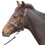 (Medium, Black) Hy Leather Foal Head Collar 2