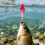 7pcs 5.5cm Glow Squid Jig Lures Baits Squid Jig Glow Jig Hook 4