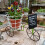 Retro Bicycles Flower Pot Holder Container Measuring-Green 3