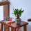 Elegant Buddhas Head Planter With Drainage Hole Cement 5