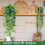 Set mit 4 künstlichen Eukalyptus-Hängetöpfen, ideal für 5