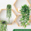 Set mit 4 künstlichen Eukalyptus-Hängetöpfen, ideal für 6