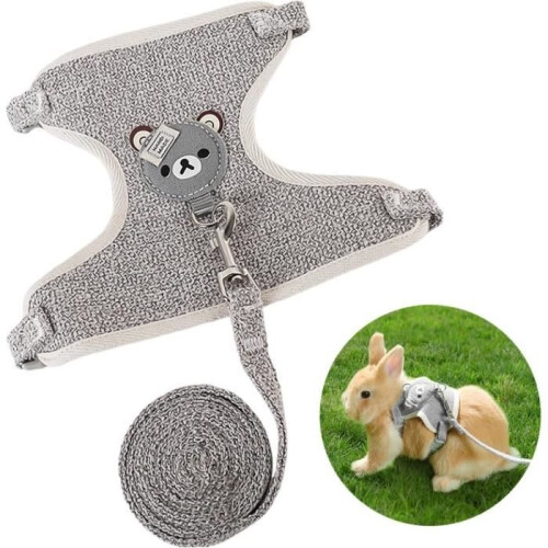 Harness with leash - Not specified - Grey - 1.2 m - Breathable - Comfortable