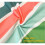 Beach Towel  Microfiber  Watermelon  Quick Drying  70 x 150 cm  Washable 5