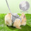 Harness with leash - Not specified - Grey - 1.2 m - Breathable - Comfortable 5