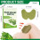 Knee Pain Relief Patch, 30 Pieces Self-Heating Moxibustion Patch, Heating Patch, Pain Relief Patch for Knees, Back, Necks 3