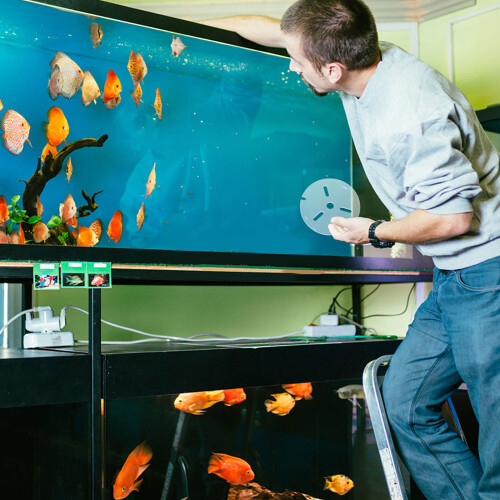Couvercle Rond En Pour Aquarium Betta Anti-Saut 2