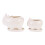 3Pcs White Ceramic Flower Pots with Tray for Succulent Plants 1
