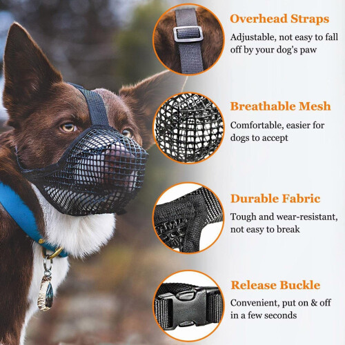 Nylon Dog Muzzle Black L 2