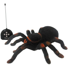 Radio-ohjattava tarantula