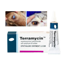Lemmikkien silmien terveysvoide koirille, kissoille, naudoille, lampaille, hevosille, linnuille ja pennuille