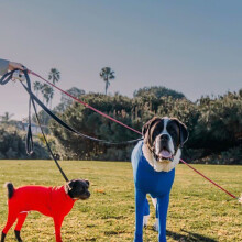 (Rot, 2XL) Winter-Hundepyjama, elastisch, warm, waschbar, Sportbekleidung, Haustierstoff