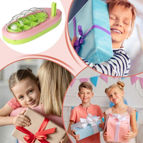Pink Silkworm Breeding Kit with Hatch Box for Kids & Teens 2