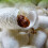 Pink Silkworm Breeding Kit with Hatch Box for Kids & Teens 5