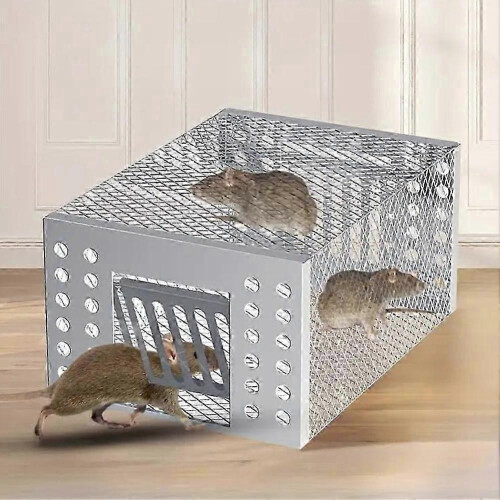 Automatic Continuous Cycle Mouse Cage for Living Room 1