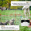 2025 Wireless Electronic Dog Fence System & Remote Training Collar 4