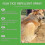 Gentle Pet Mite & Flea Care Spray for External Deworming 3