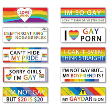 10 Pcs Funny LGBT Bumper Stickers Classic Magnetic
