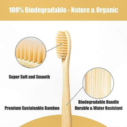 Eco-Friendly Bamboo Toothbrush, 10-Pack Biodegradable with Soft BPA-Free Bristles 1