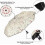 Windproof Rainproof Folding Travel Umbrella 2