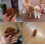 Milow robothvalp, Milow - Min realistiske robothvalp 4