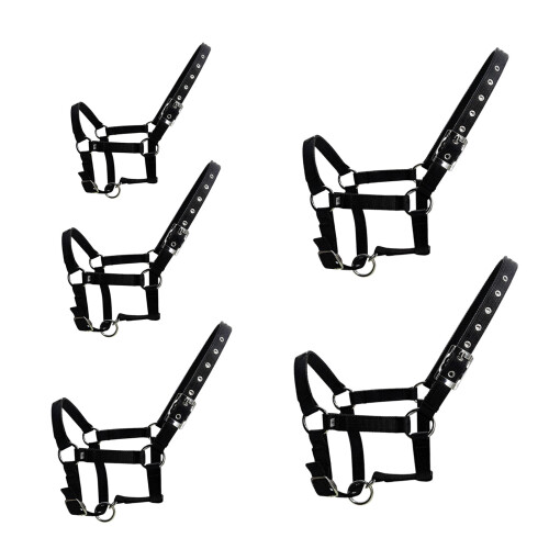 Ergonomic Adjustable Horse Halter with PP Webbing Thicken-L 1