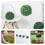Armature Balle Fleurs Plastique Vert Pour Ornements 5