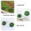 Armature Balle Fleurs Plastique Vert Pour Ornements 6