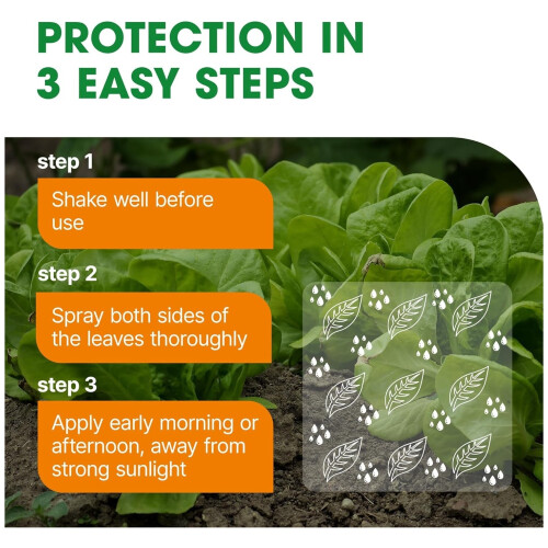 Doff Doff 2 in 1 Rose Bug & Fungus Control Spray 1L 1