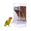 Transparent PET Automatic Bird Feeder Hanging Anti Scatter 1