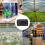 Digital Temperature Controller 12V 110-220V 5