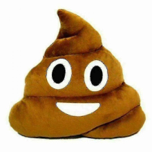 Poop Emoji Stuffed Pillow 35cm Soft and Funny Gift Idea