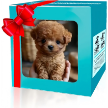 (Bruin) Nico Robot Puppy Mijn realistische interactieve pluche speelgoed dat zich gedraagt als een echt hondje Zachte knuffelpop