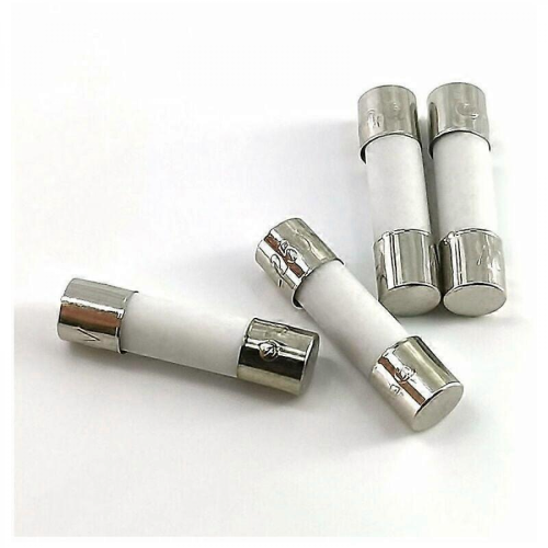 10x Ceramic Time Delay Fuse (T) 10A / 250VAC 5x20mm 2