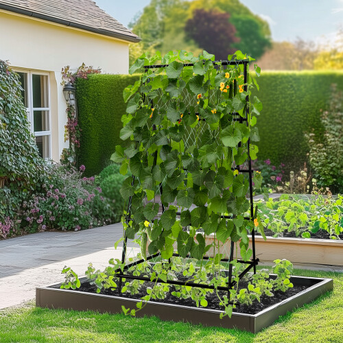 A Frame Metal Garden Trellis for Climbing Plants 2