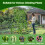 A Frame Metal Garden Trellis for Climbing Plants 8