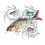 Self-Swimming Fishing Lure USB Rechargeable BB 3