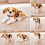 (Dalmatiner) Plüschtier mit Flipping-Pose 5