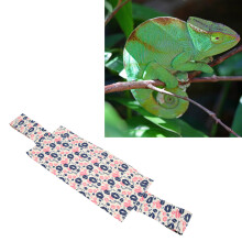 Trasportino per drago barbuto 40cm Borsa 65cm/25.6in Canvas