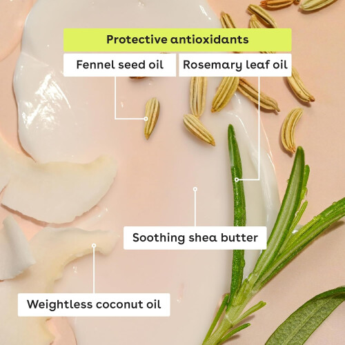 eos Natural Shea Lip balm 0.14 oz, 3-Pack Sticks 2