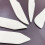 Bone Folder Set – Natural Bone Scoring Tool (2 pcs) 2