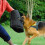 Durable Arm Protector for Dog Biting Training Thicken-yellow 3