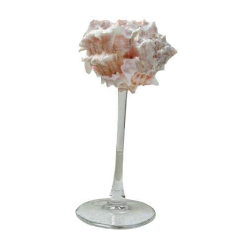 Conch Shell Champagne Glass – Handmade Cocktail Goblet 1