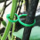 Vegetables Gardening Clip Prevent Drooping Promote Airflows-50 5